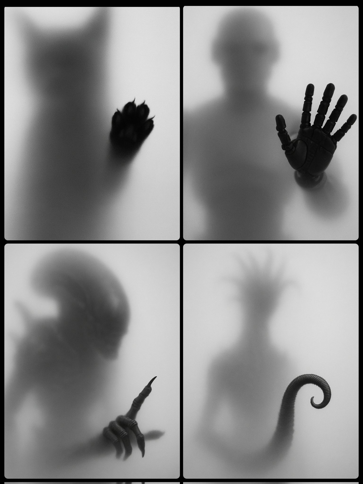 Frosted, blurry silhouette.