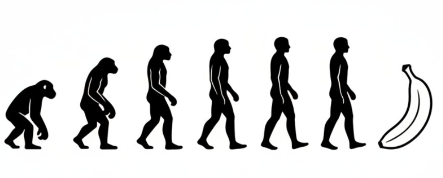 Black-and-white evolution diagram.