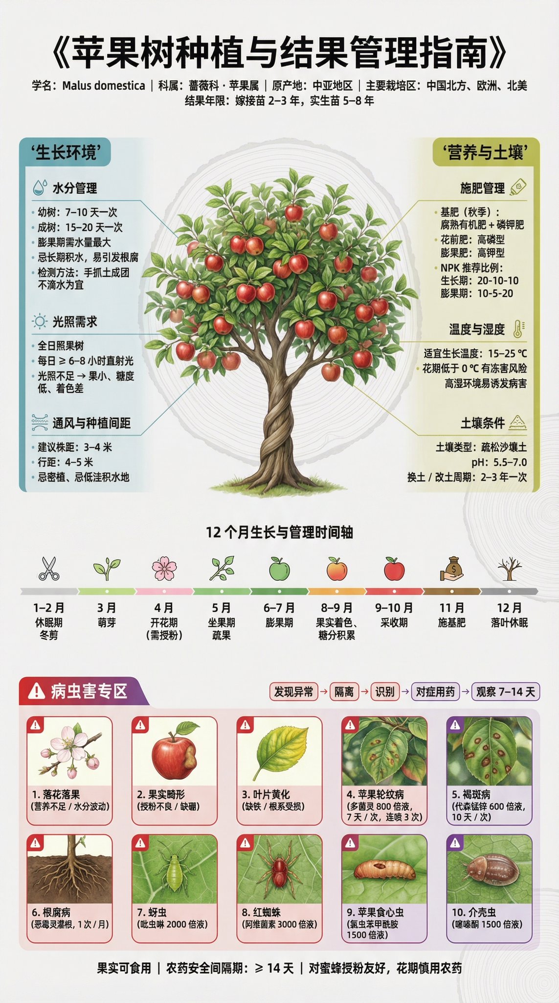 Fruit Tree Cultivation Popular Science Display Panel | 3:4 Portrait | Museum-Grade Information Design