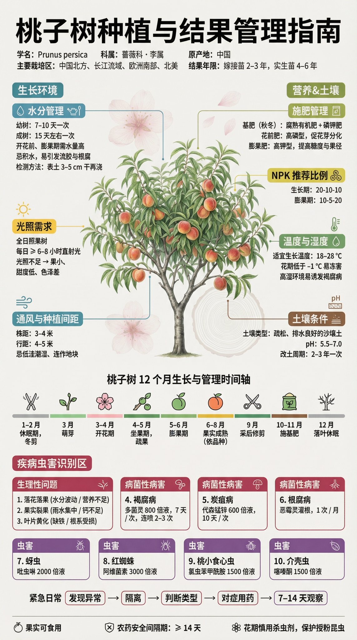 Fruit Tree Cultivation Popular Science Display Panel | 3:4 Portrait | Museum-Grade Information Design 2