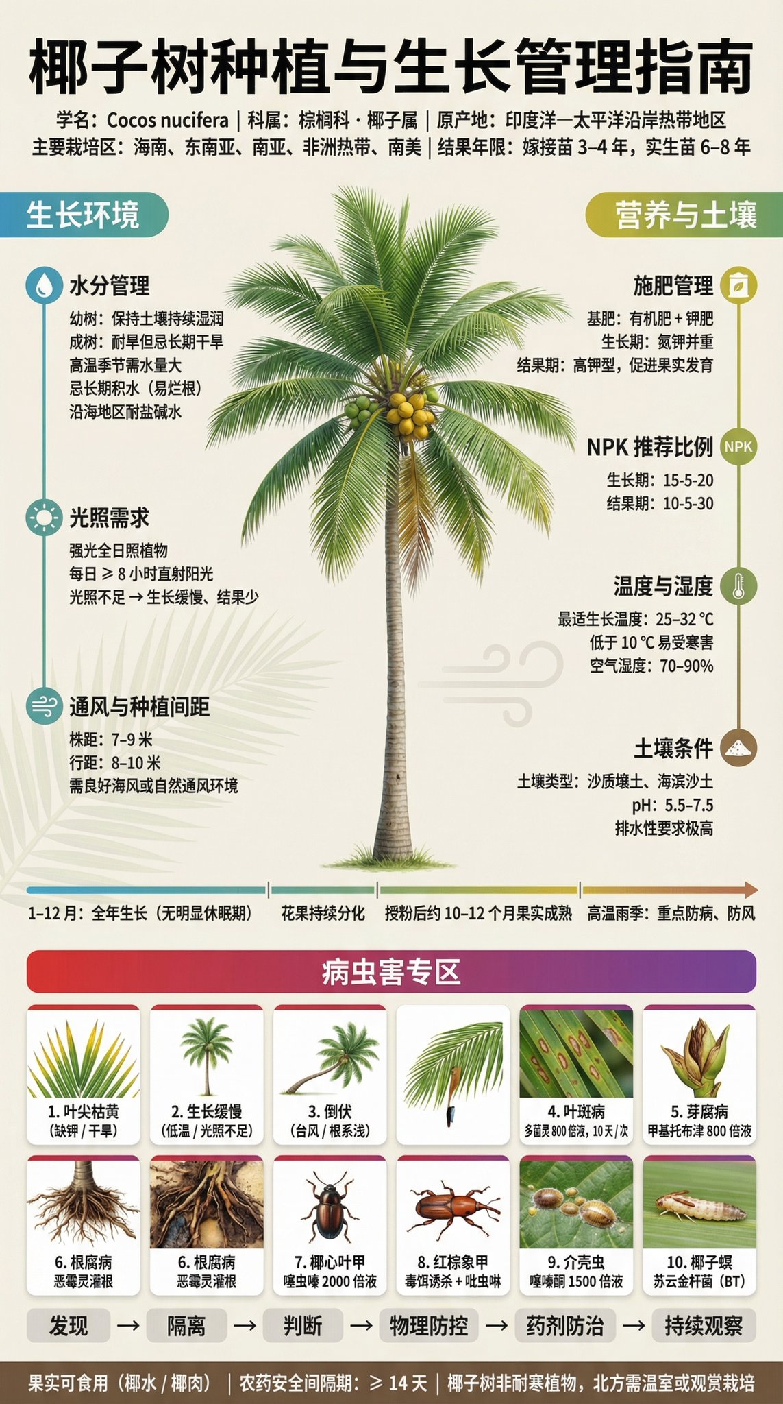Fruit Tree Cultivation Popular Science Display Panel | 3:4 Portrait | Museum-Grade Information Design 3