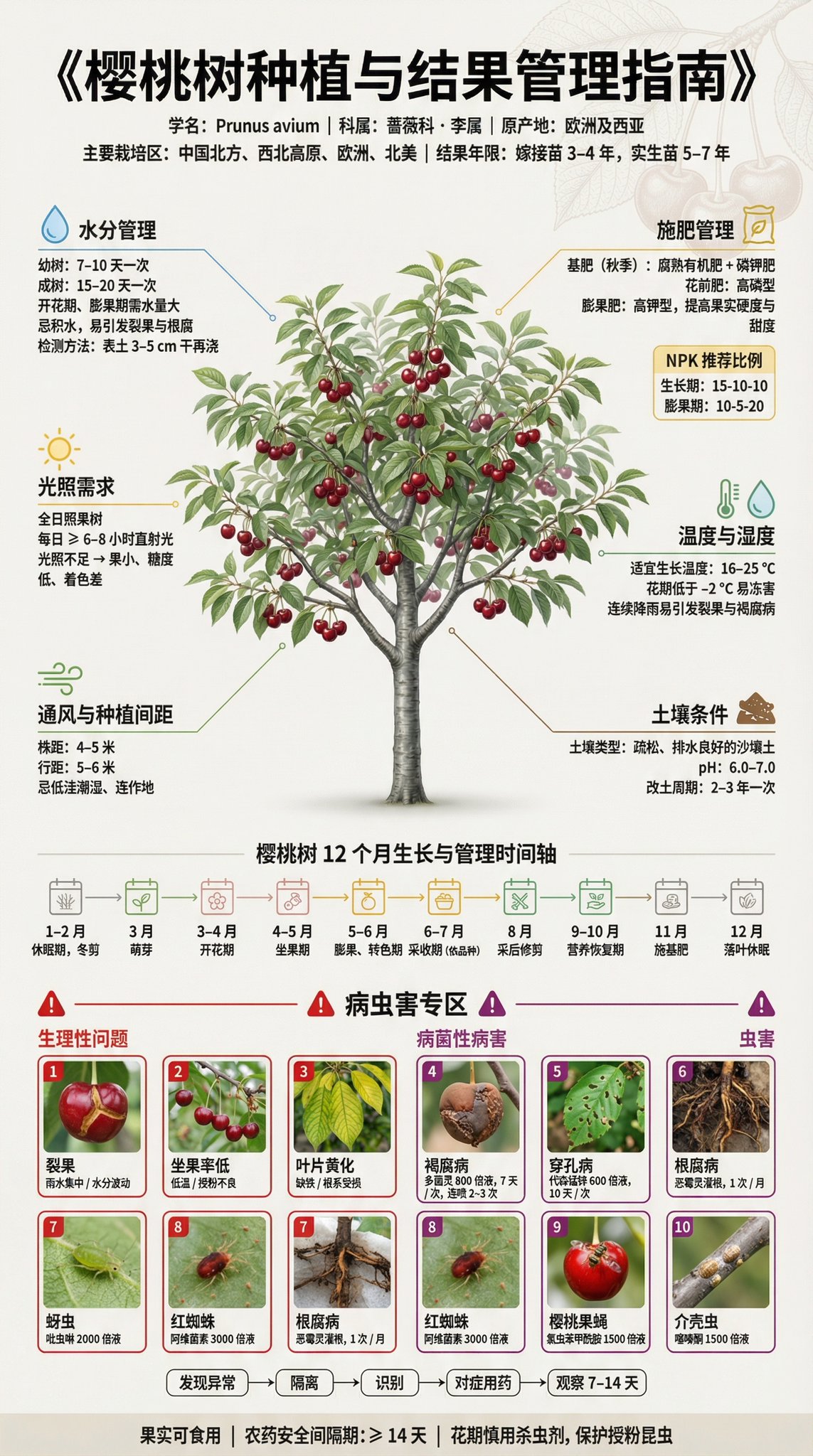 Fruit Tree Cultivation Popular Science Display Panel | 3:4 Portrait | Museum-Grade Information Design 4