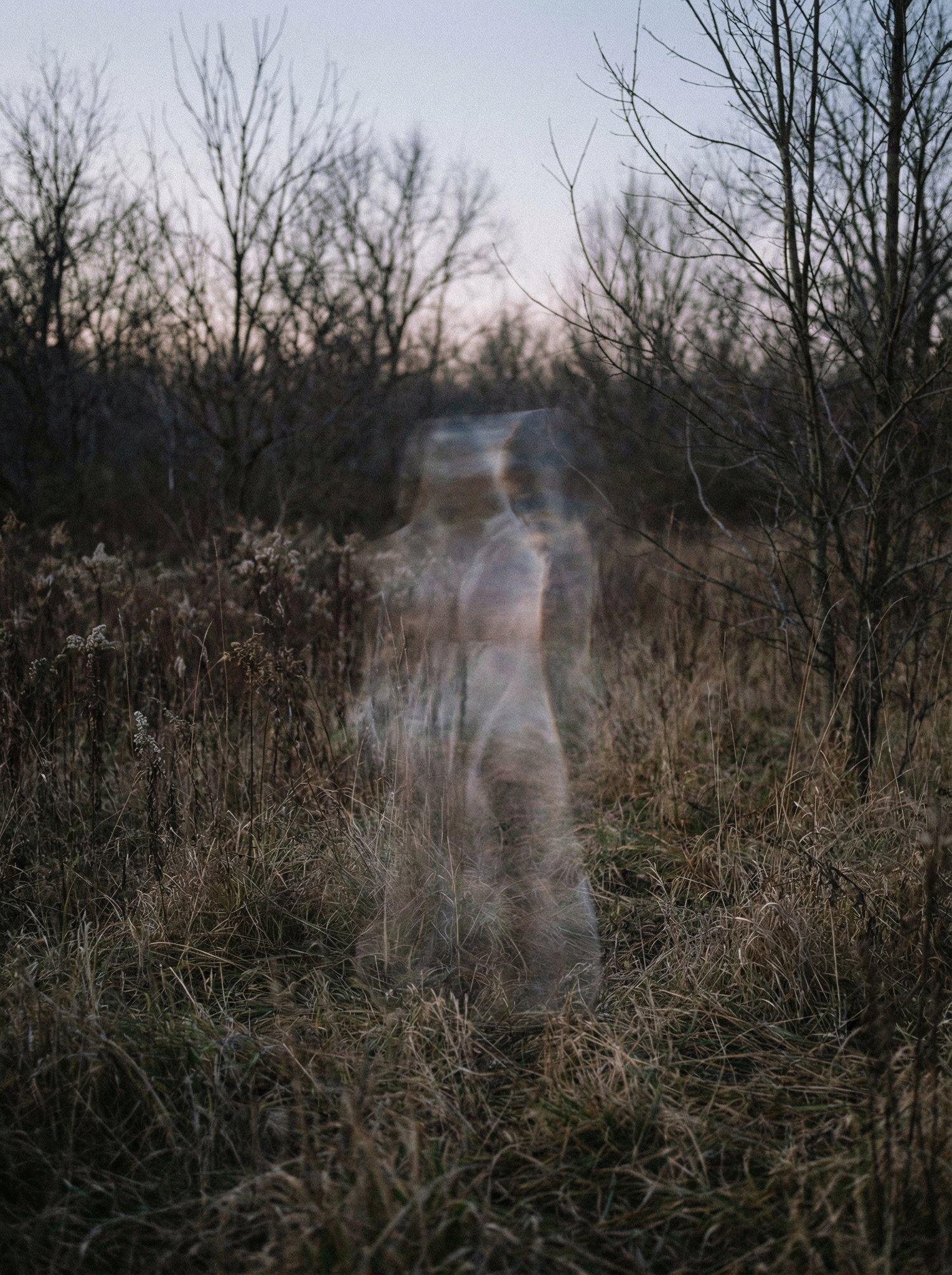 a photo of an impossible imperceptible anti-memetic entity, no labels, outside